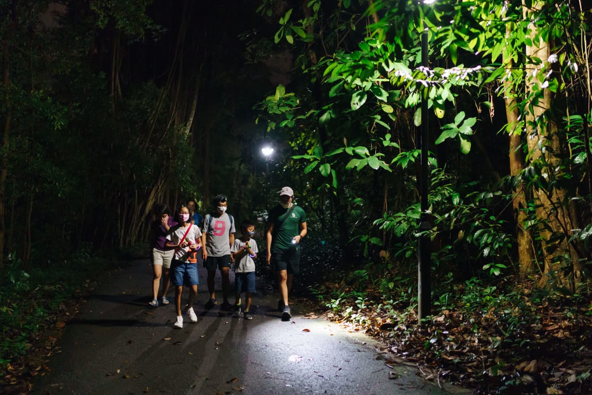 naturalist-night-adventure-the-untamed-paths-singapore-pelago0.jpg