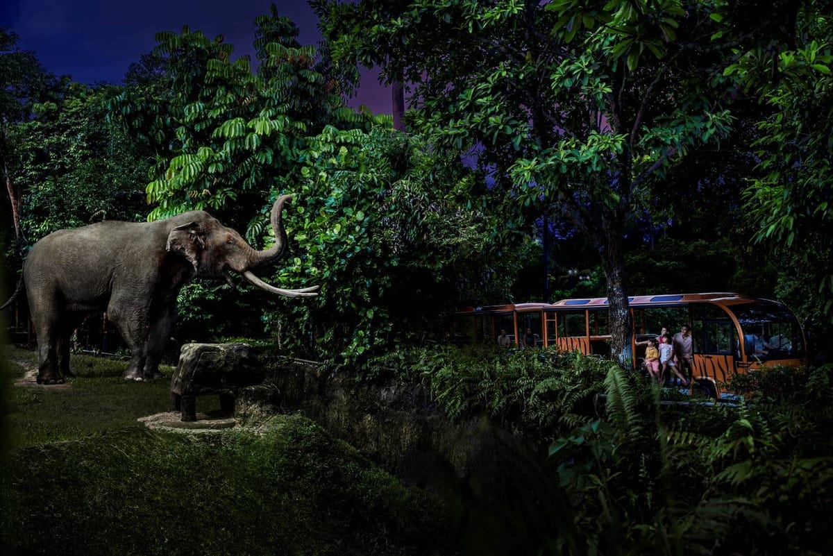 night-safari-wildlife-park-singapore-pelago0.jpg