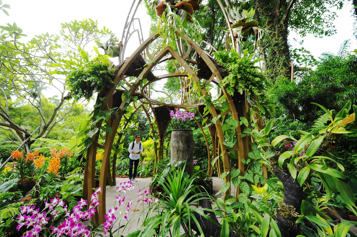 National Orchid Gardens | Admission Tickets | Singapore | Pelago