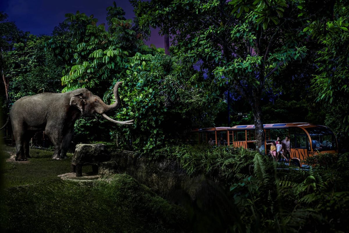 singapore-night-safari_1