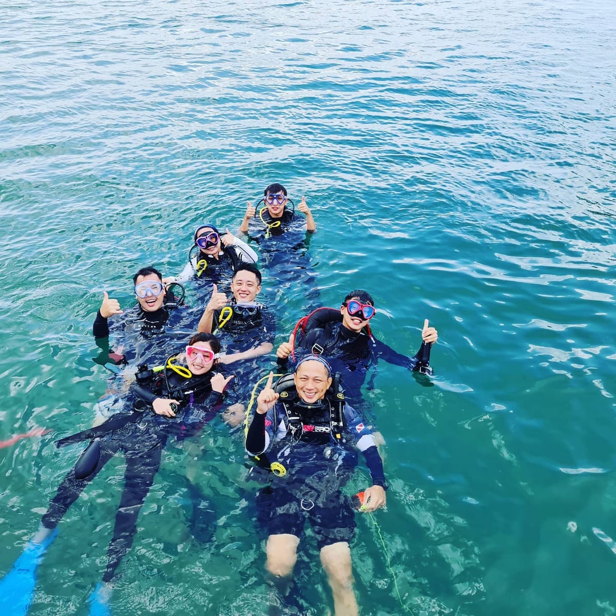 Leisure Diving | Cuddlefish Divers | Nature | Underwater | Marina at Keppel Bay | Scuba Diving | Singapore | Pelago