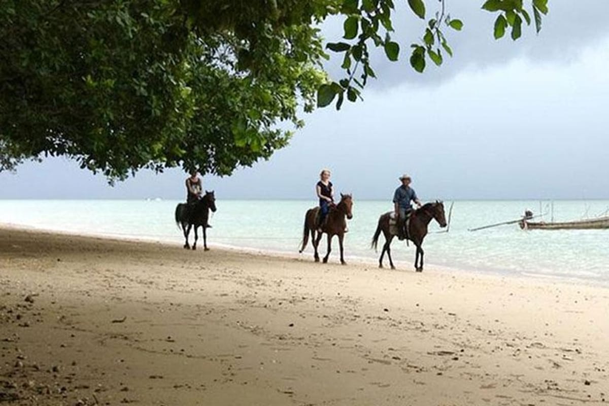 1-hour-horse-riding-tour-on-the-beach-krabi_1