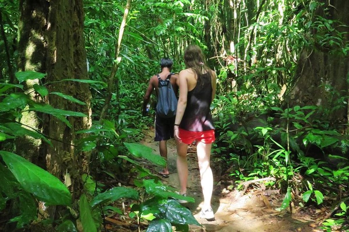 2-Day Khao Sok Jungle Trekking