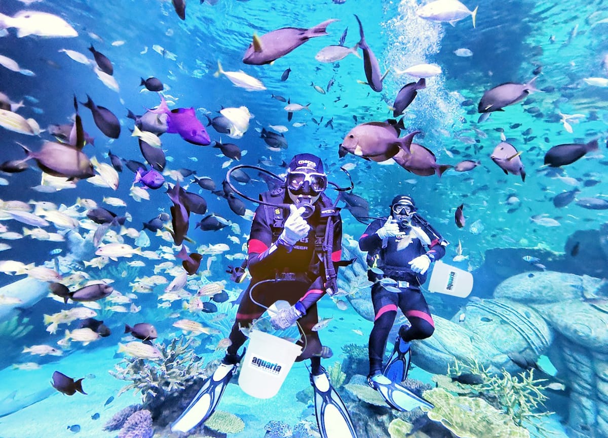 aquaria-phuket-pelago0.jpg