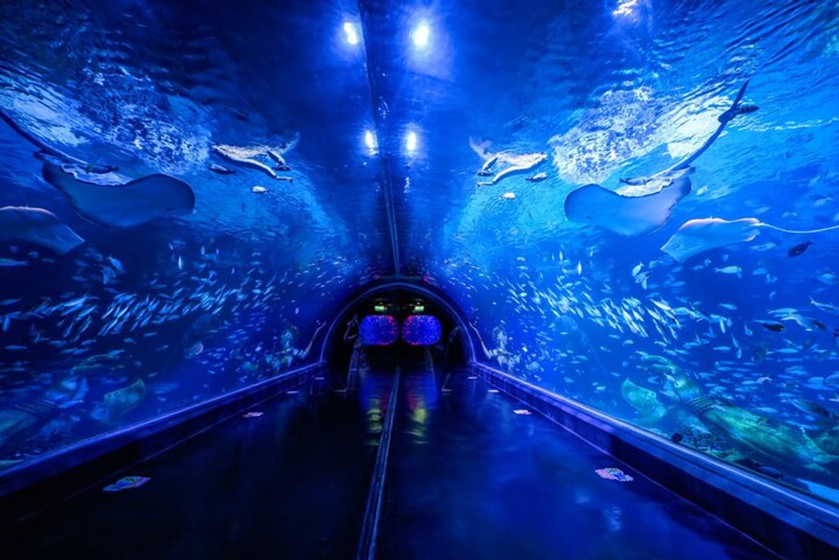 aquarium-phuket-and-ar-trick-eye-museum-combo-tickets_1