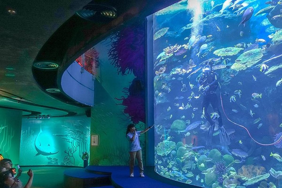 bangkok-sea-life-aquarium_1