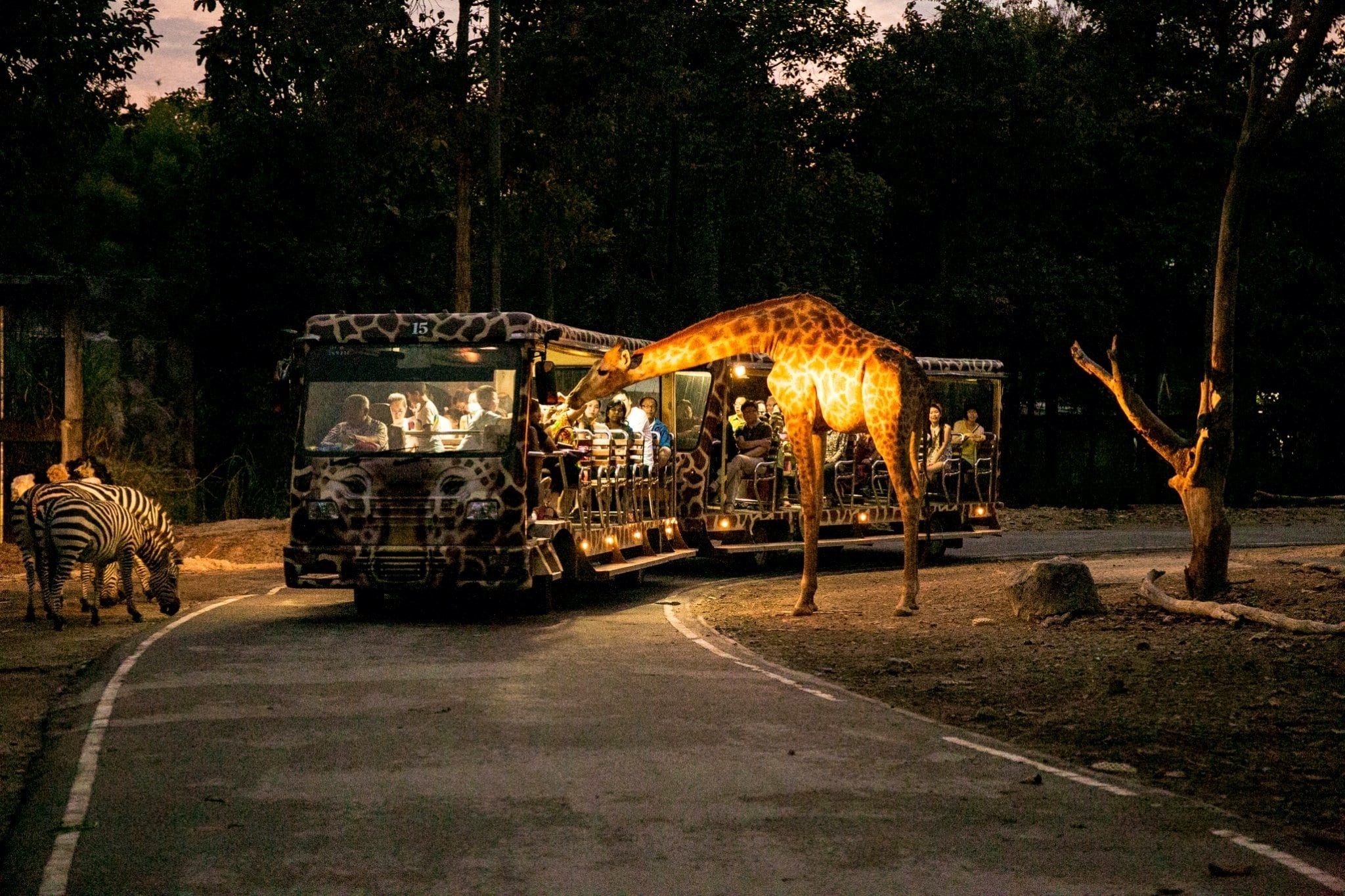 night safari car park