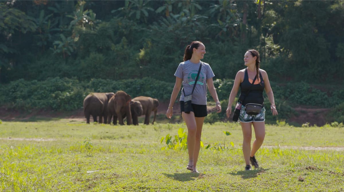 elephant-day-care-chiang-mai-mountain-sanctuary-thailand-pelago0.jpg