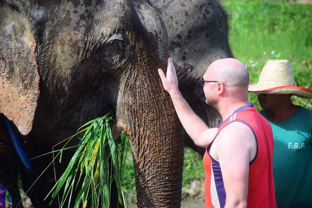 elephant-retirement-park-chiang-mai-half-day-thailand-pelago0.jpg