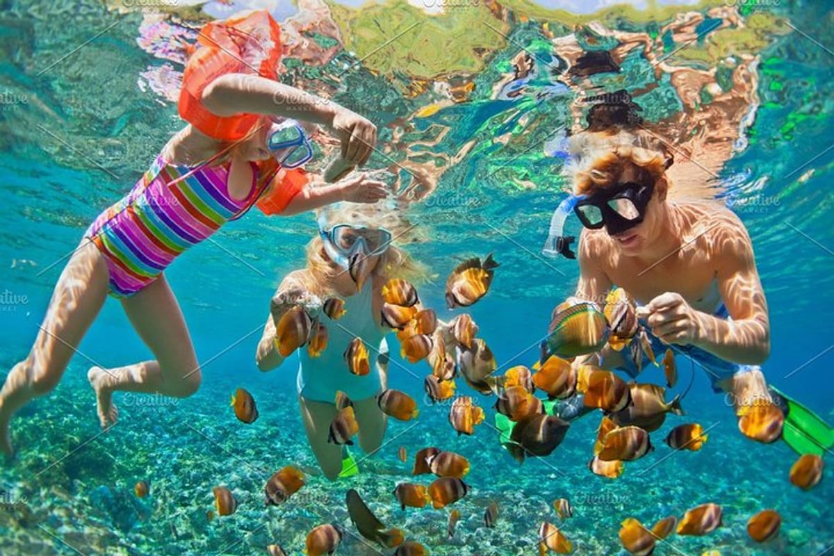 full-day-phi-phi-island-tour-and-snorkel-free-transfer_1