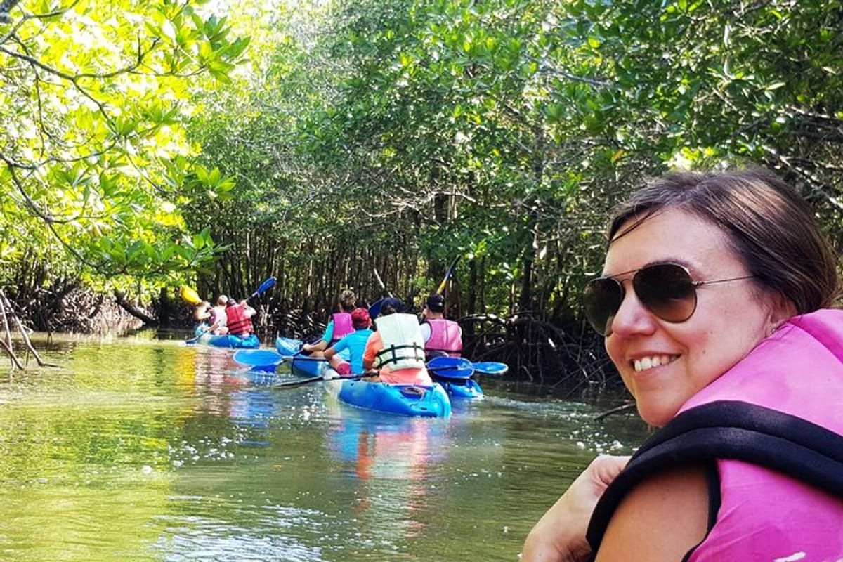 half-day-mangrove-by-kayaking-or-longtail-boat-from-koh-lanta_1