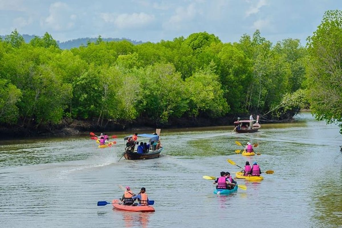 half-day-mangrove-forest-kayaking-tour-from-koh-lanta_1