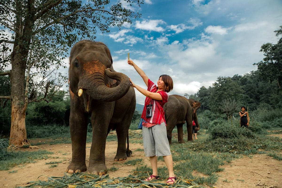 kechor-elephant-eco-park-tour-thailand-pelago0.jpg