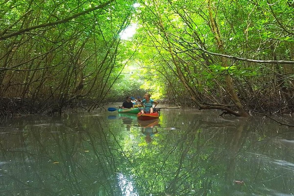 Loose yourself in the hidden world of the Khao Lak Mangroves