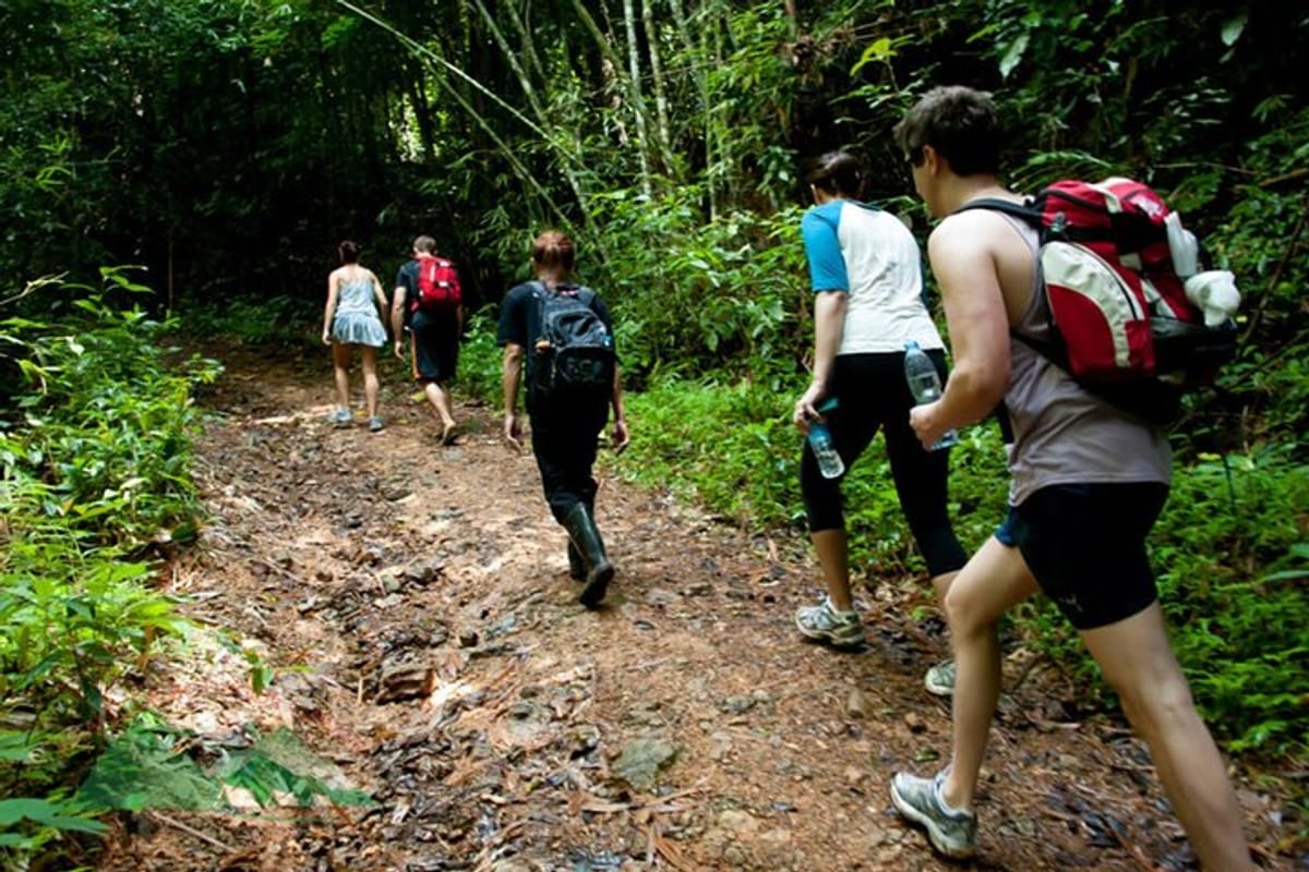 khao-sok-national-park-hiking-and-canoeing-day-tour-from-khao-lak_1