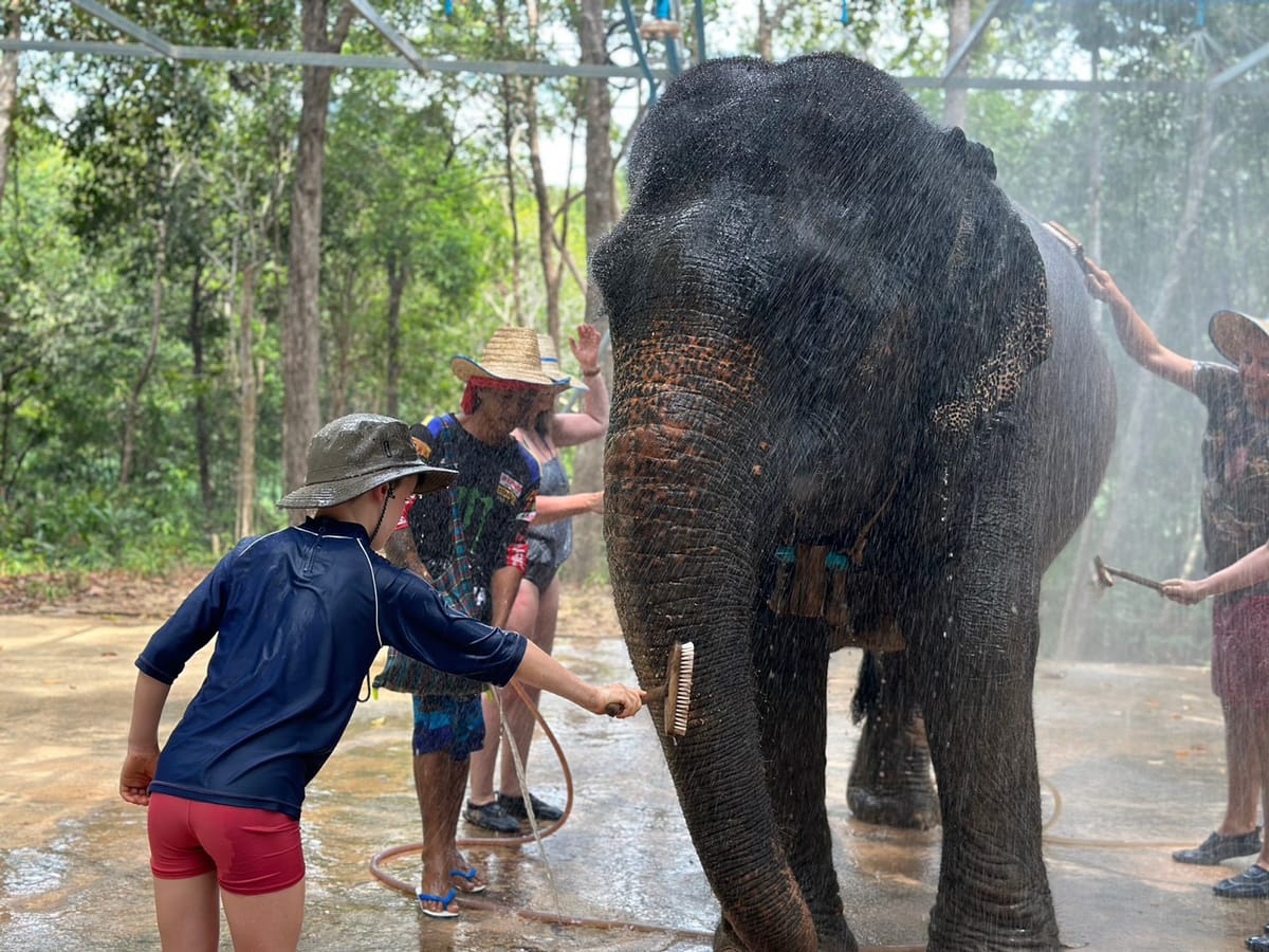 krabi-elephant-shelter-thailand-pelago0.jpg