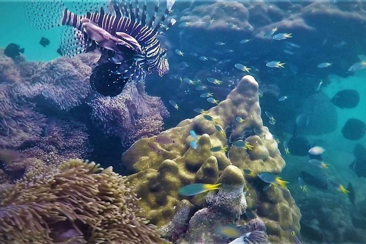 Beautiful underwater world of Khao Na Yak.