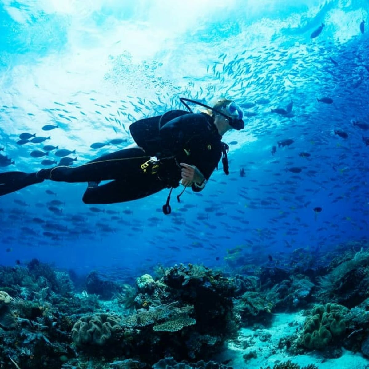 maiton-island-half-day-small-group-scuba-diving-excursion-from-phuket_1