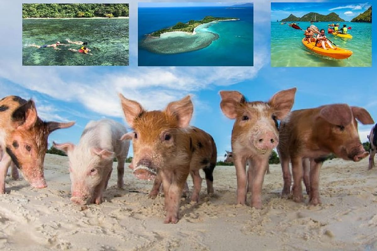pig-island-experience-by-speed-boat-snorkeling-kayaking-relaxing-on-the-beach_1