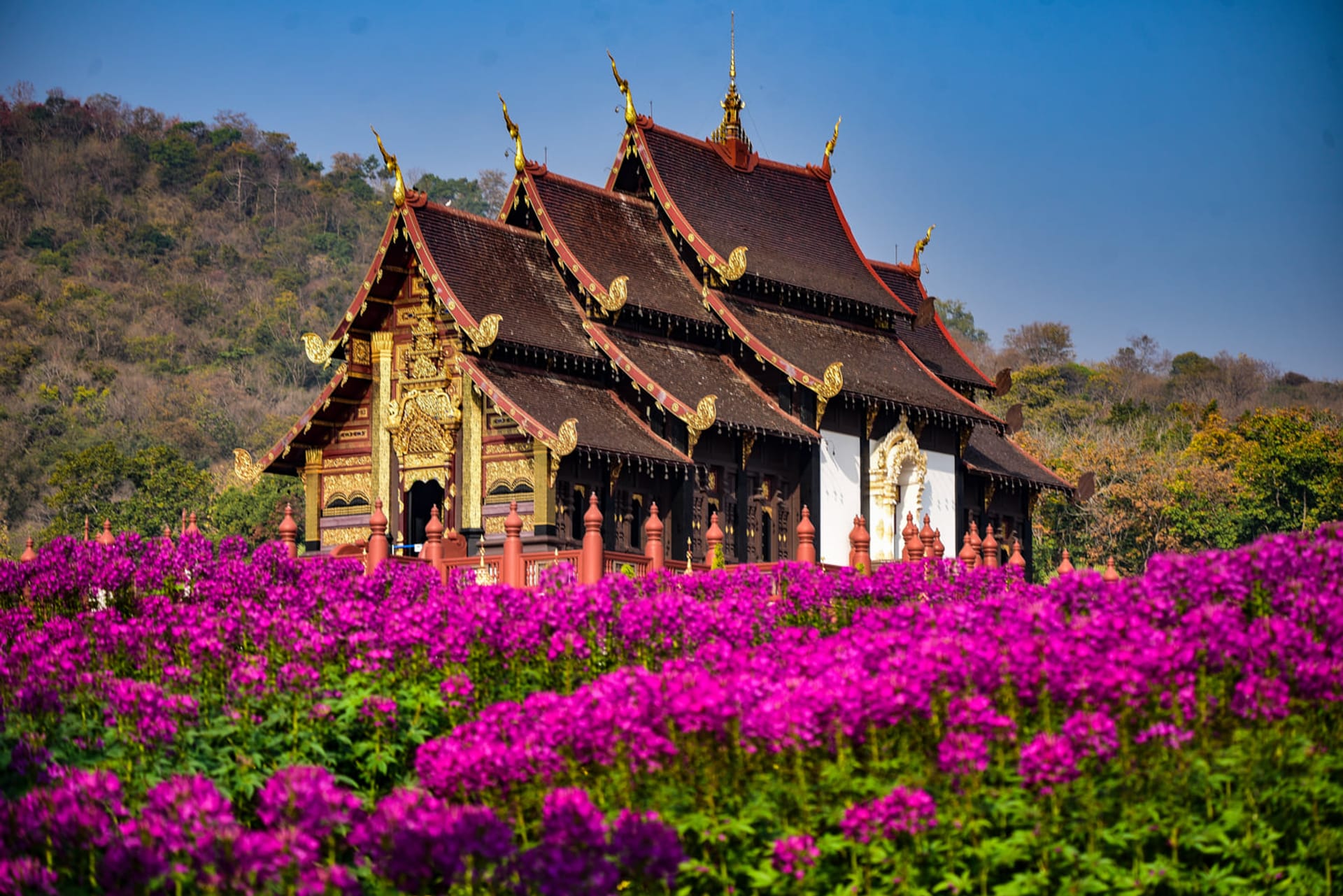 Wat Phra That Doi Kham and Royal Park Rajapruek Tour in Chiang Mai | Pelago