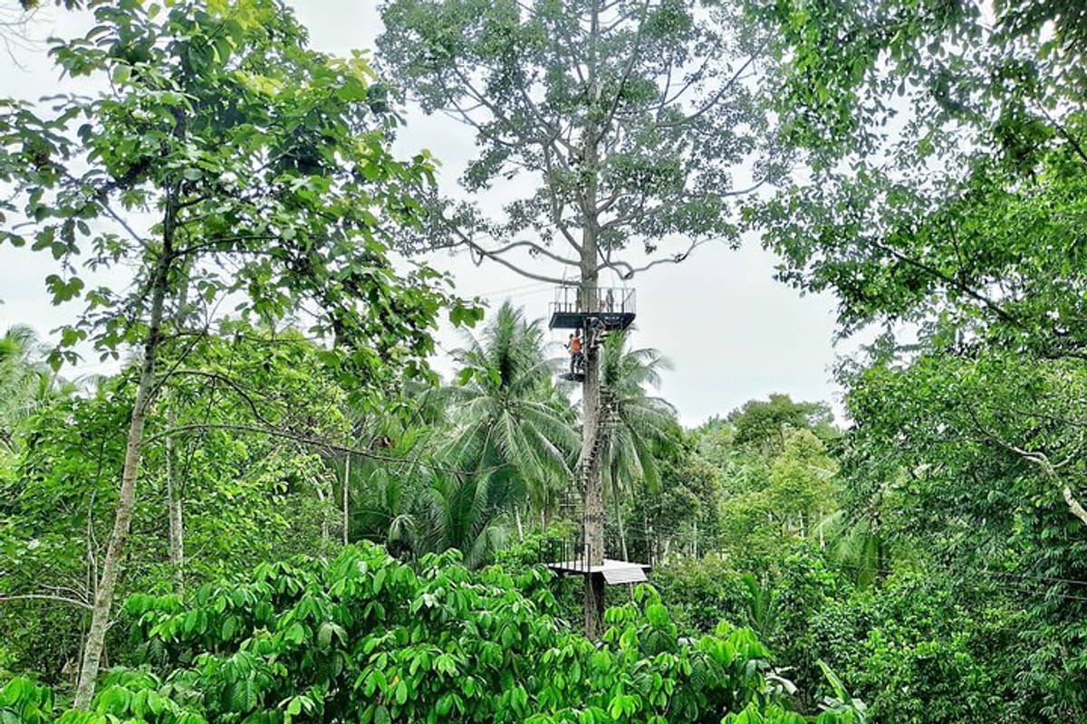 samui-zipline-explore-and-connect-with-nature_1
