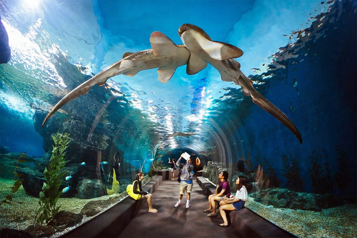underwater-world-pattaya-tickets-thailand-pelago0.jpg